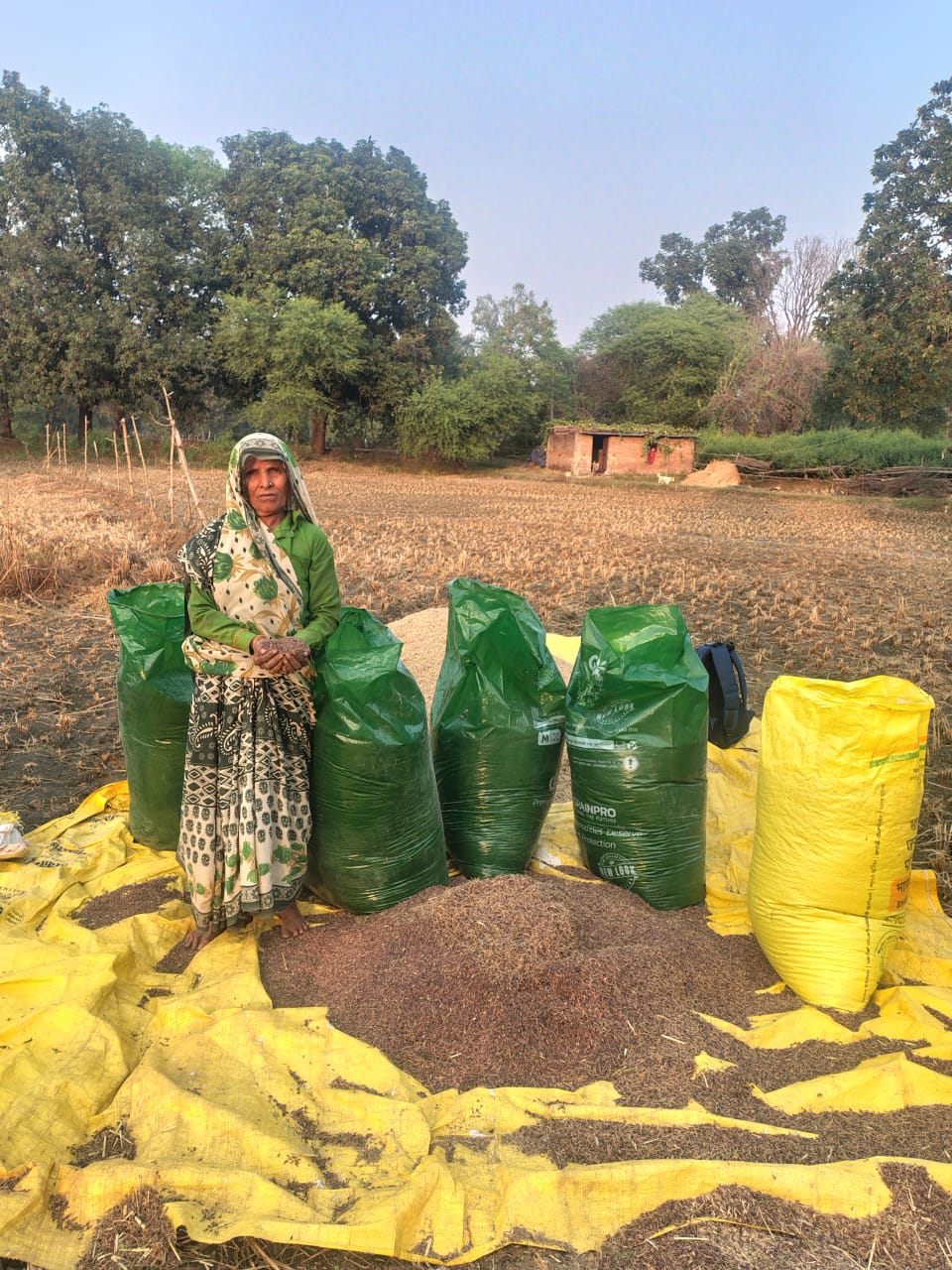 Farmer Meera with her Kala Namak paddy harvest